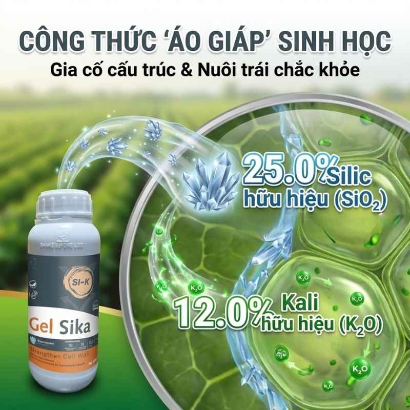 Đặc tính và thành phần định lượng của Gel Sika