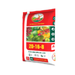 Phân NPK Hà Lan