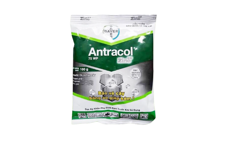 Thuốc trị bệnh thán thư Antracol 70WP