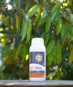 Alternative view of Phân bón lá Gel Sika: Bổ sung silic hữu hiệu giúp tăng cường cấu trúc mô và phòng vệ sinh học của cây trồng