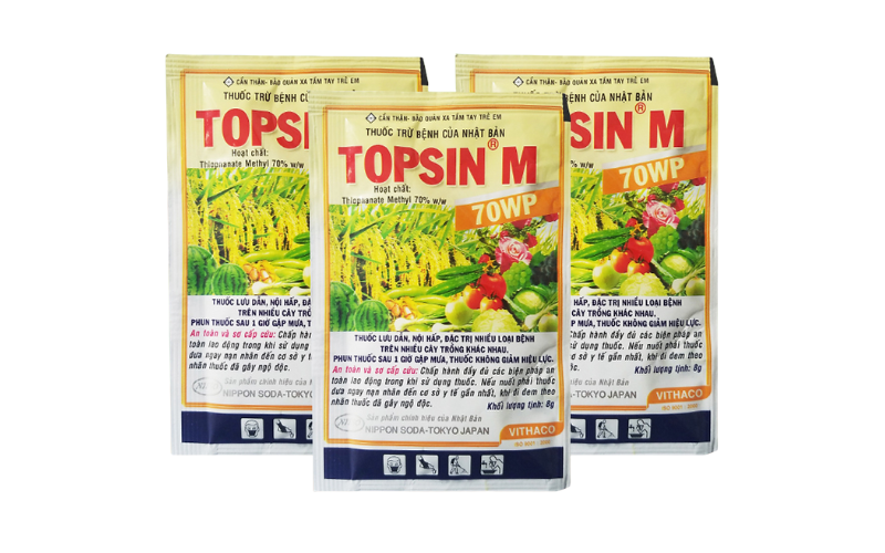 Thuốc trị bệnh thán thư Topsin M 70WP