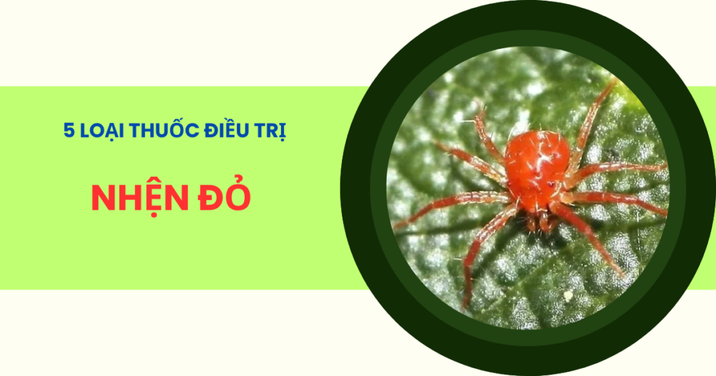 Thuốc trị nhện đỏ