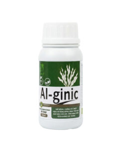 Chiết xuất Tảo biển Al-ginic - Giải độc, mát cây, giảm stress sinh lý cho cây trồng