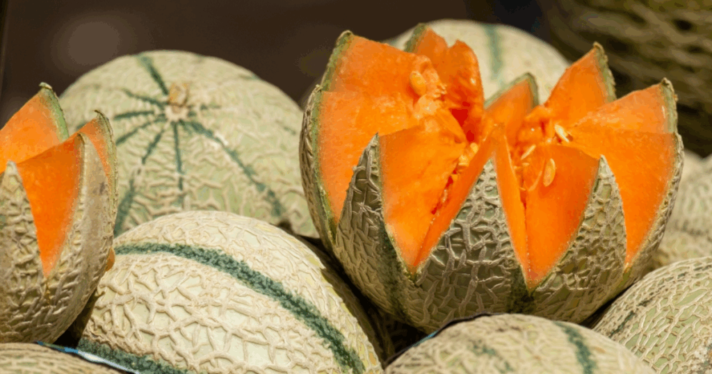 Dưa lưới khó hình thành lưới đẹp do vỏ yếu Gel Sika kết hợp Bo giúp hỗ trợ tạo lưới chắc và đồng đều