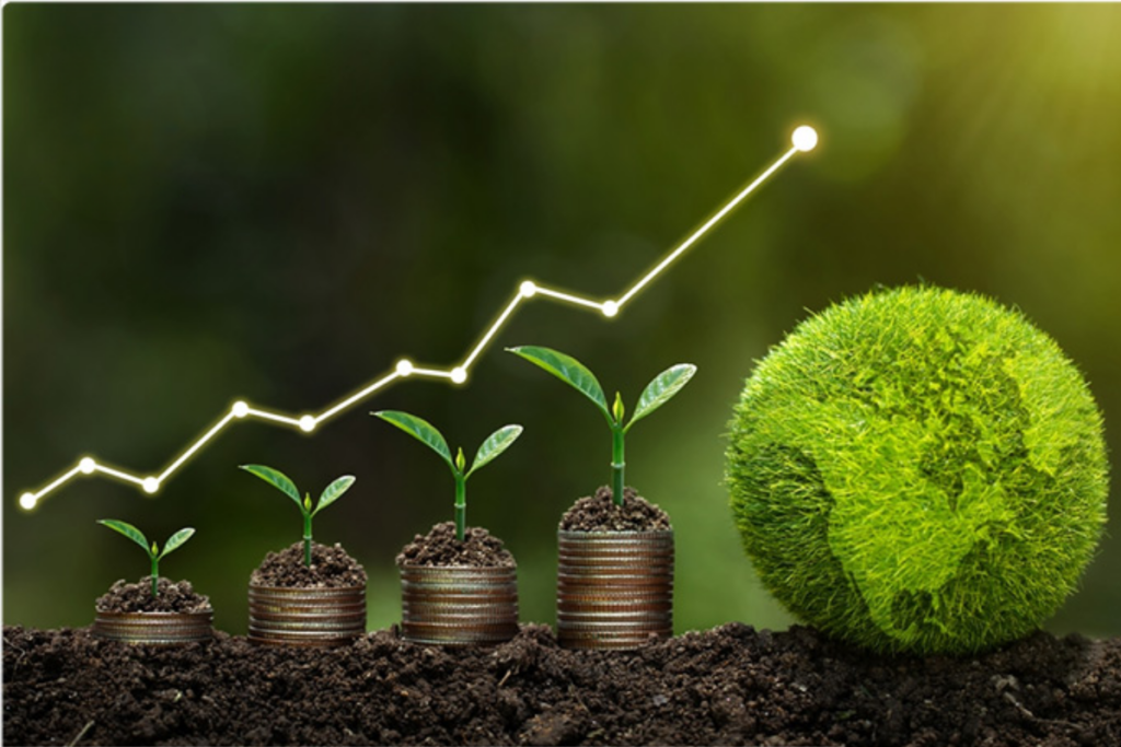 5 lợi ích chính của Humic đối với cây trồng