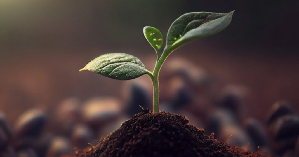 Trichoderma Plus, Plus Humic Dùng trong trường hợp nào thì hiệu quả