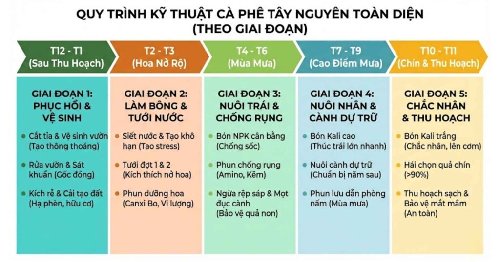 Kỹ thuật cà phê Tây Nguyên