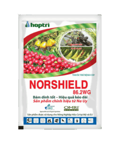 Norshield