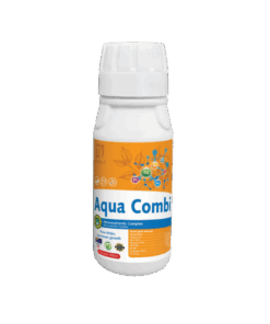 Aqua Combi