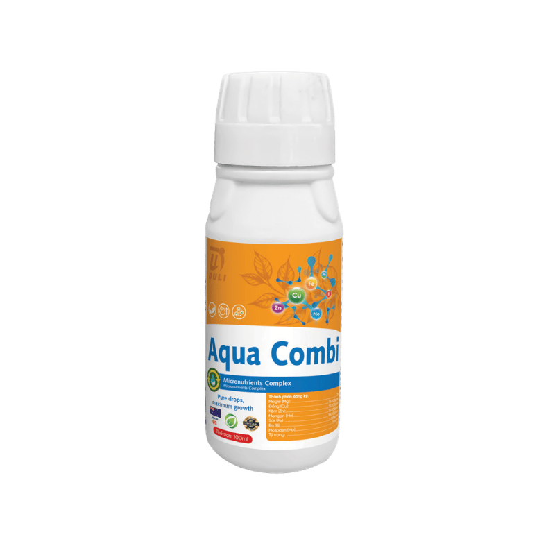 Aqua Combi