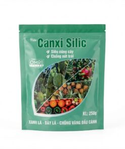 Canxi Silic