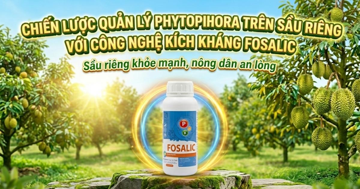 công nghệ kích kháng Fosalic