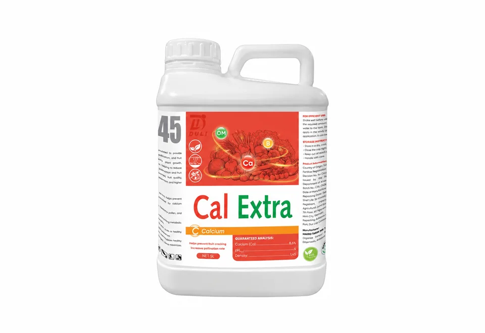 Cal Extra