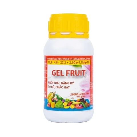 Gel Fruit