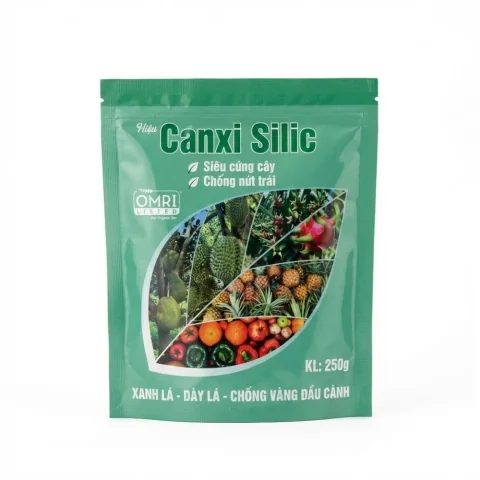 Canxi Silic
